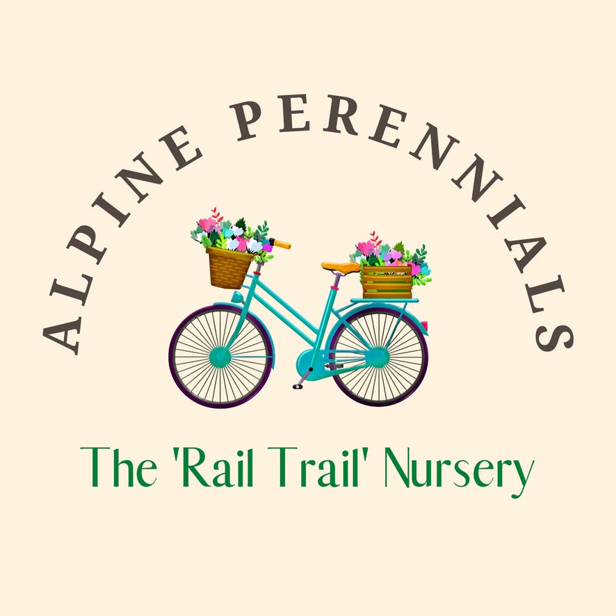 Alpine Perennials Nursery